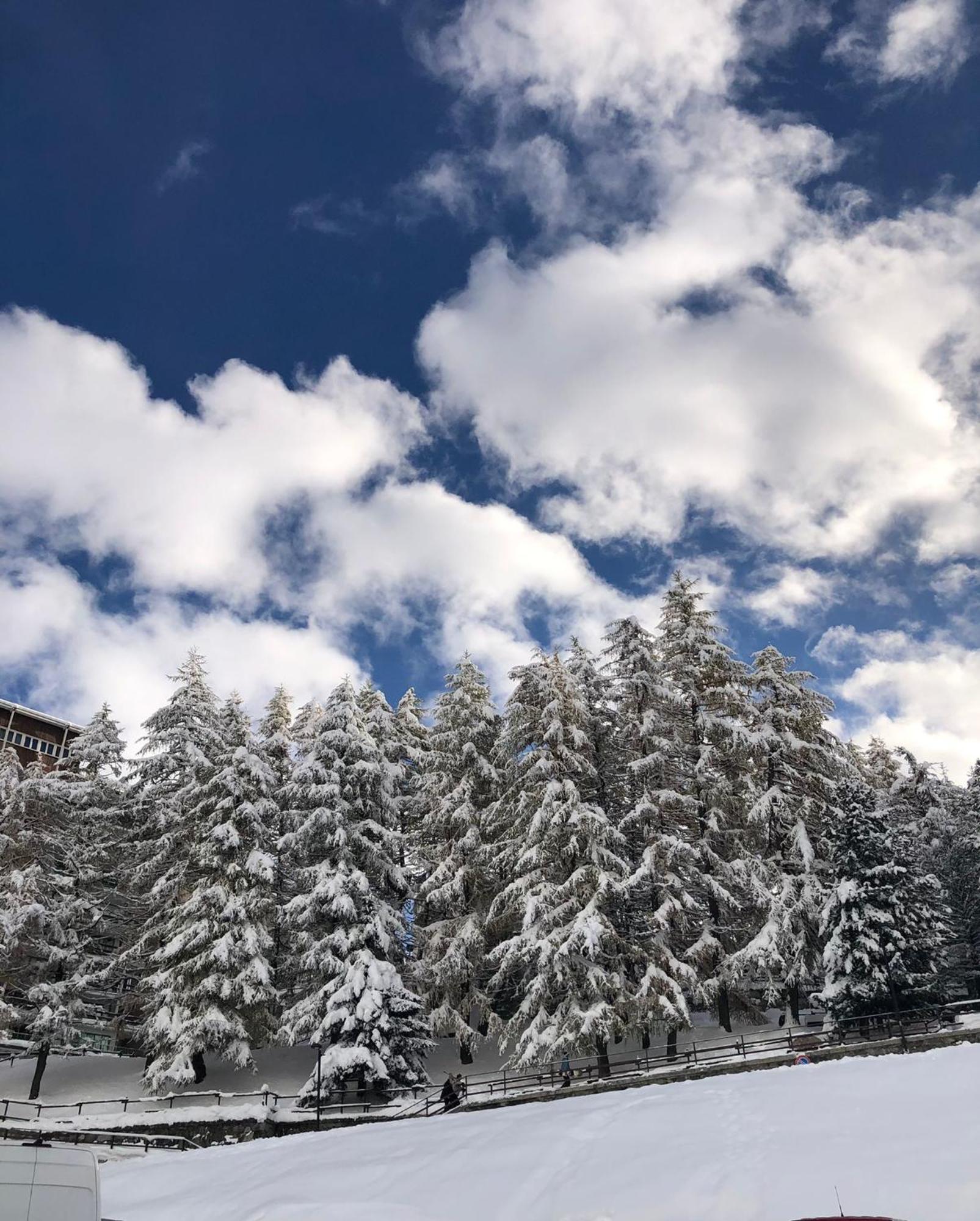 Cervinia - Matterhorn Apartments Breuil-Cervinia Bagian luar foto